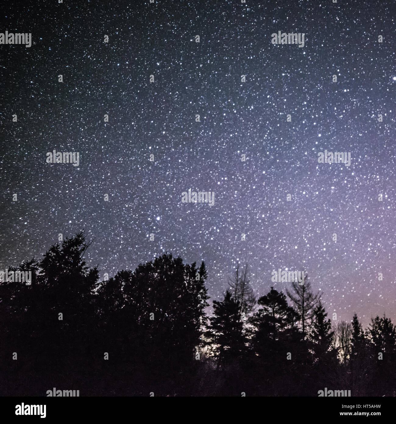 Paesaggio rurale di notte con alberi e stelle asnd neve Foto Stock