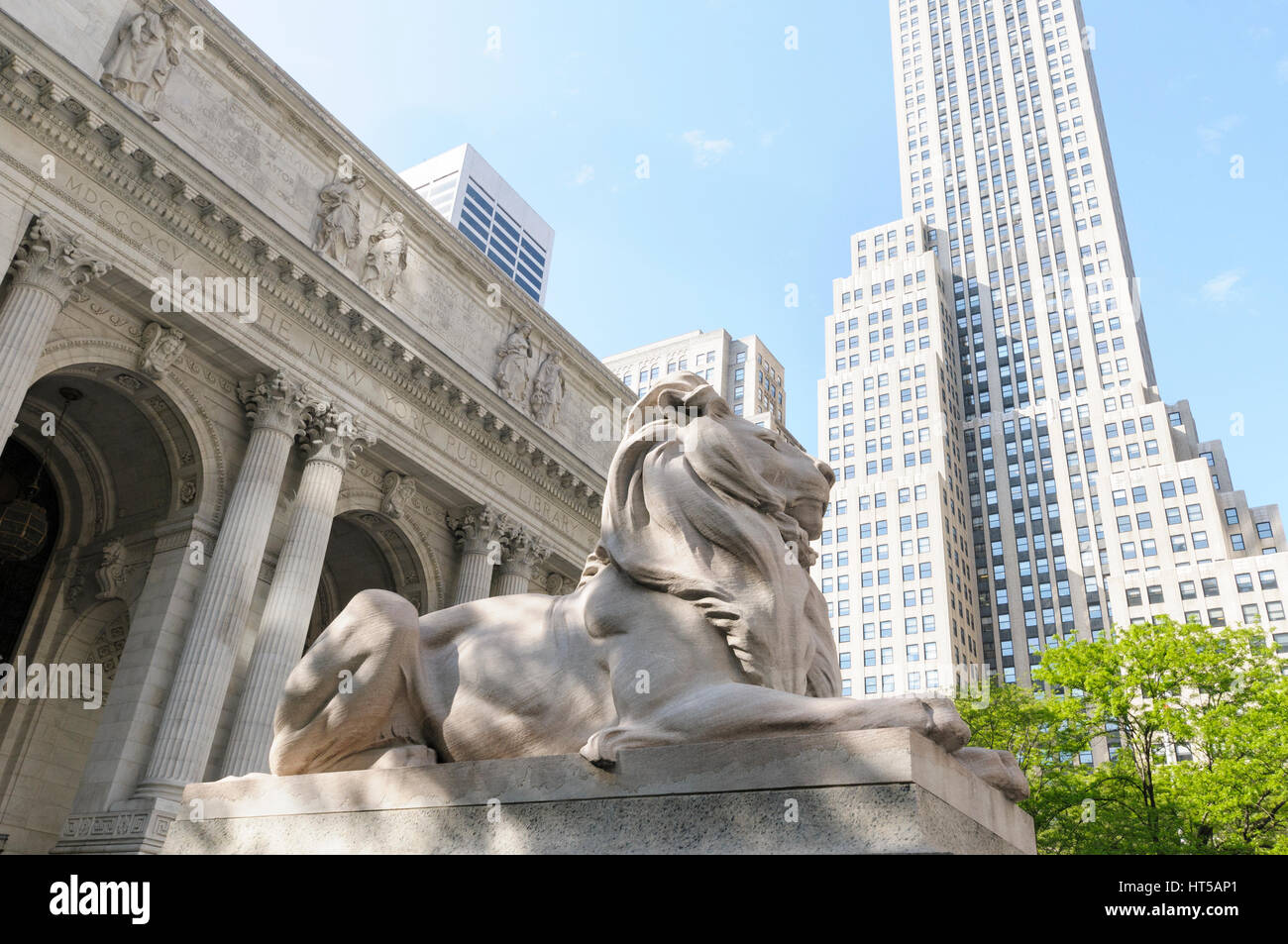 Leone di pietra al di fuori della Stephen un Schwarzman Building, New York Public Library, NYC, STATI UNITI D'AMERICA Foto Stock