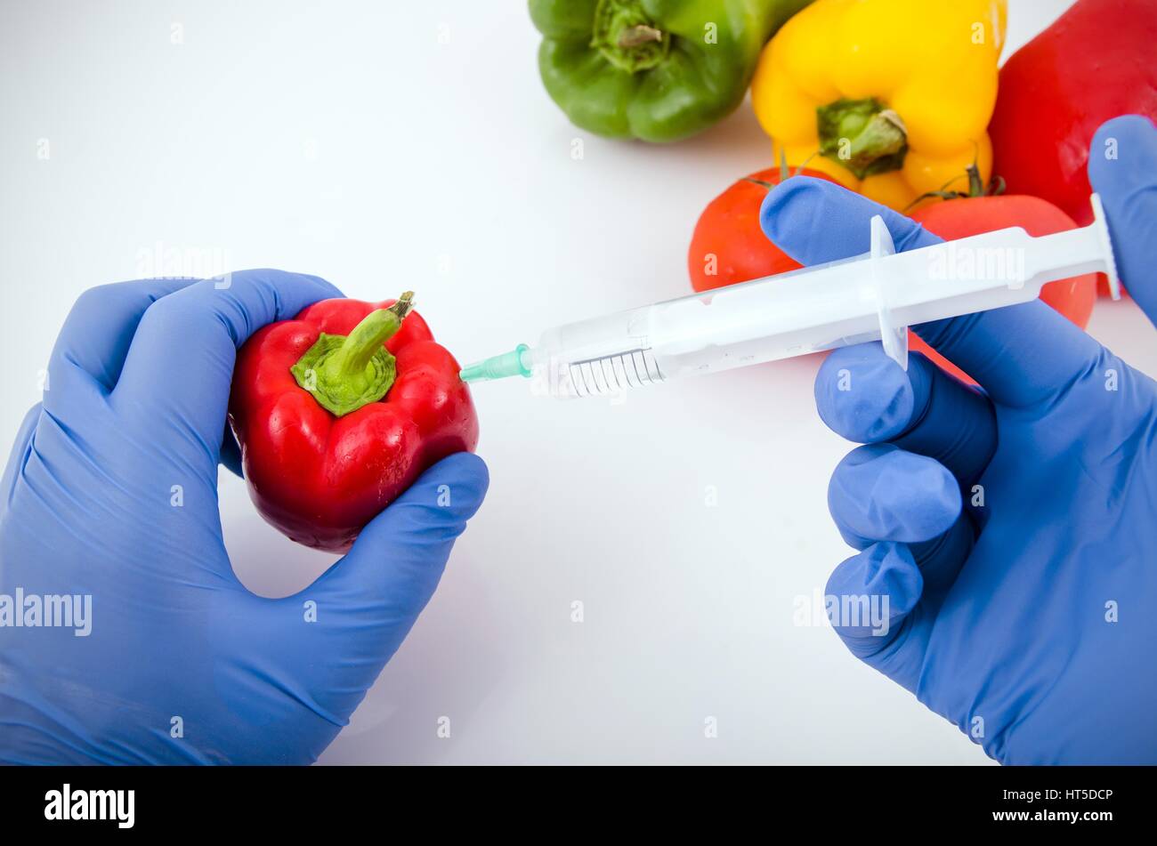 L'uomo con i guanti lavora con pepe in ingegneria genetica in laboratorio. Gli alimenti OGM concetto. Foto Stock