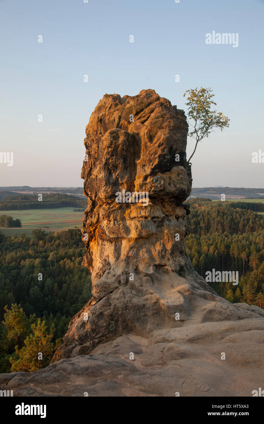 Piedi di roccia arenaria. Cappuccio in Kokorinsko in Repubblica Ceca. Foto Stock
