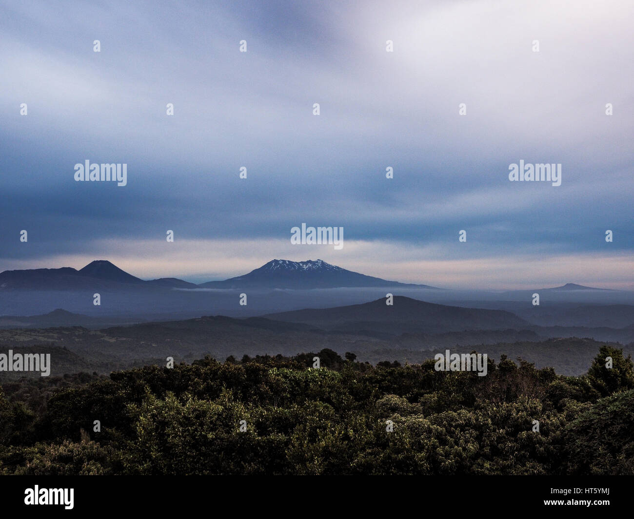 I vulcani Tongariro, soft sullo skyline, visto guardando a sud di Tongariro Foresta , da Waituhi, al tramonto, in autunno. Distretto di Ruapehu, Nuova Zelanda Foto Stock