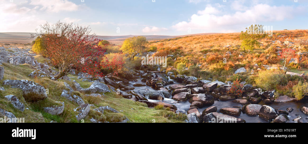 Immagine panoramica del fiume Teign nell'autunno del Parco Nazionale di Dartmoor Devon UK Foto Stock