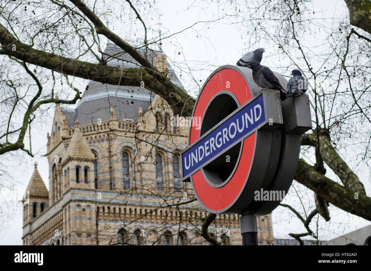 La metropolitana di Londra segno al di fuori del Museo di Storia Naturale di Londra, Inghilterra, Regno Unito Foto Stock