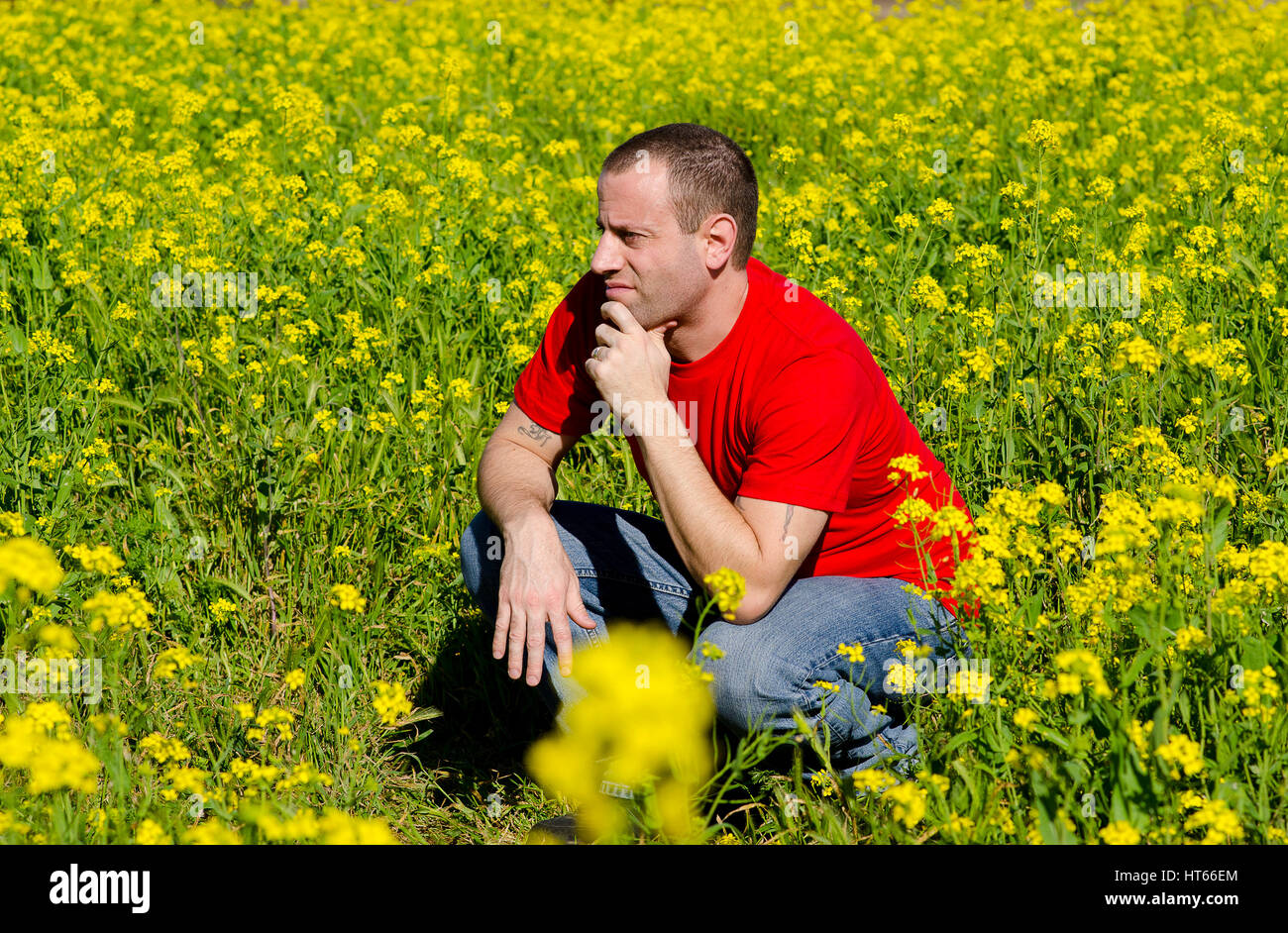 Uomo in un campo di fiori gialli Pensando a domani ciò che contiene. Foto Stock