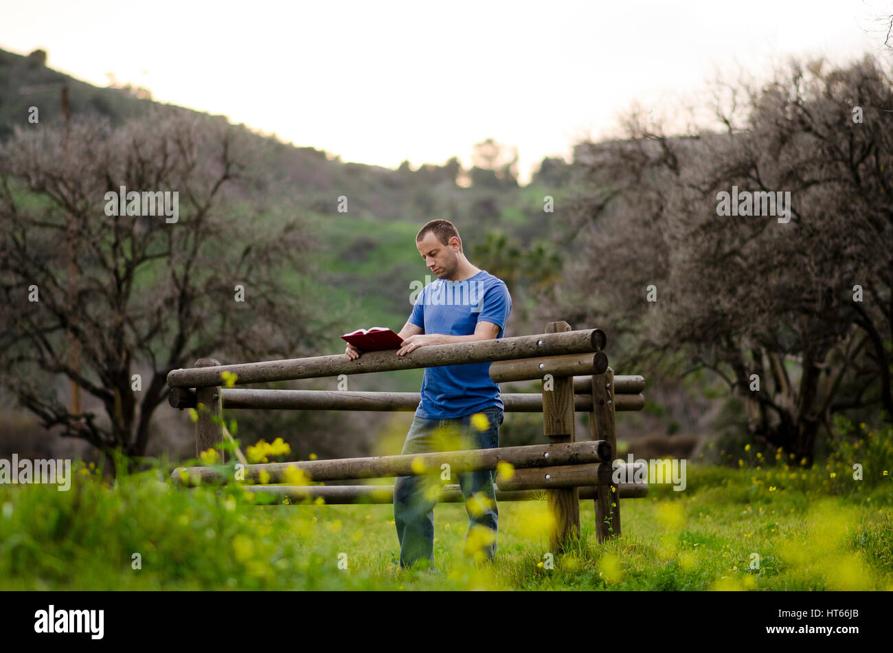 L'uomo la lettura di un libro al di fuori di un campo appoggiata contro una recinzione di legno. Foto Stock
