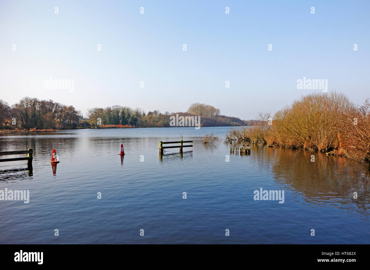 Una vista di Ranworth vasta Riserva naturale su Norfolk Broads a Ranworth, Norfolk, Inghilterra, Regno Unito. Foto Stock