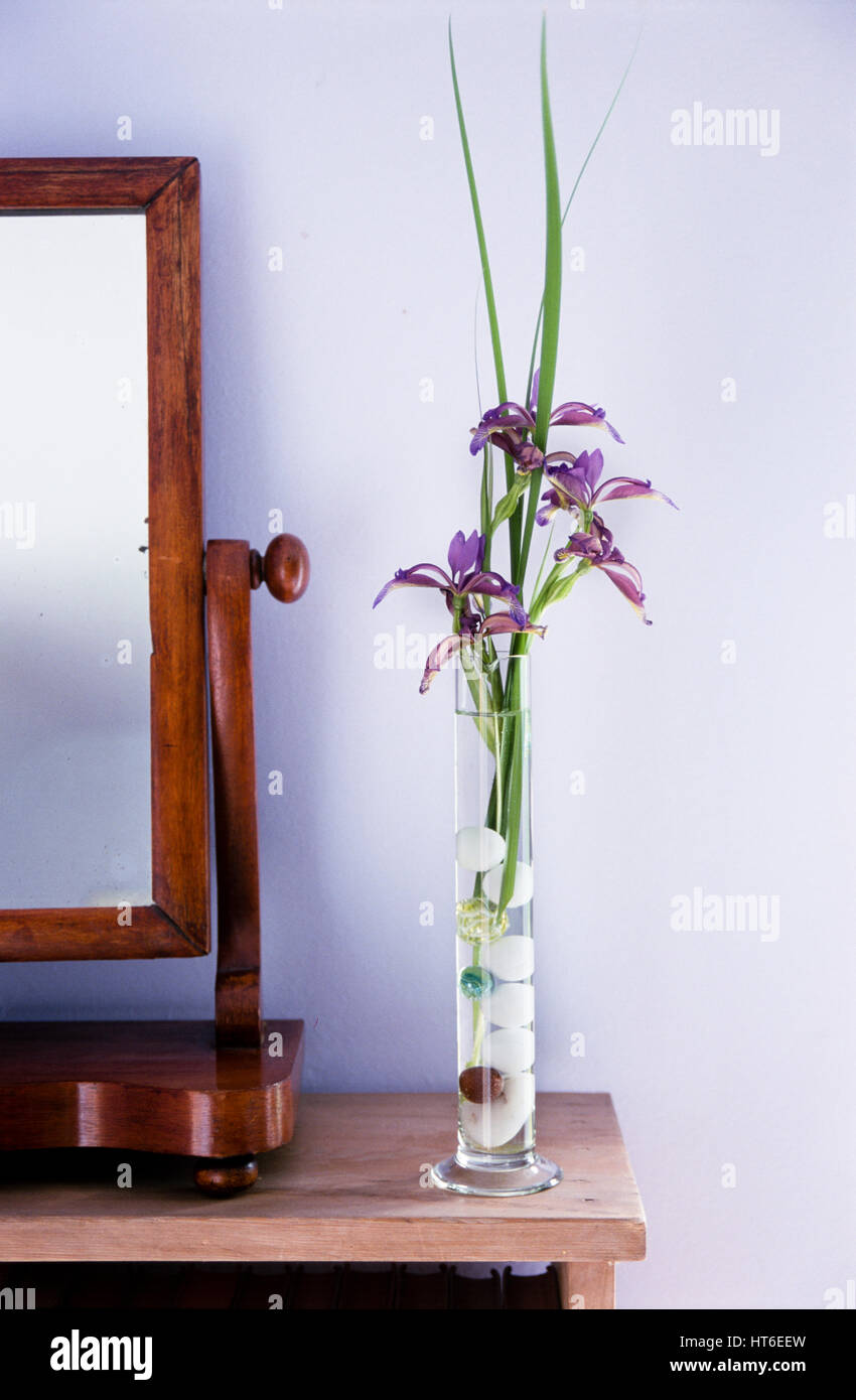 Vaso di fiori viola da uno specchio. Foto Stock