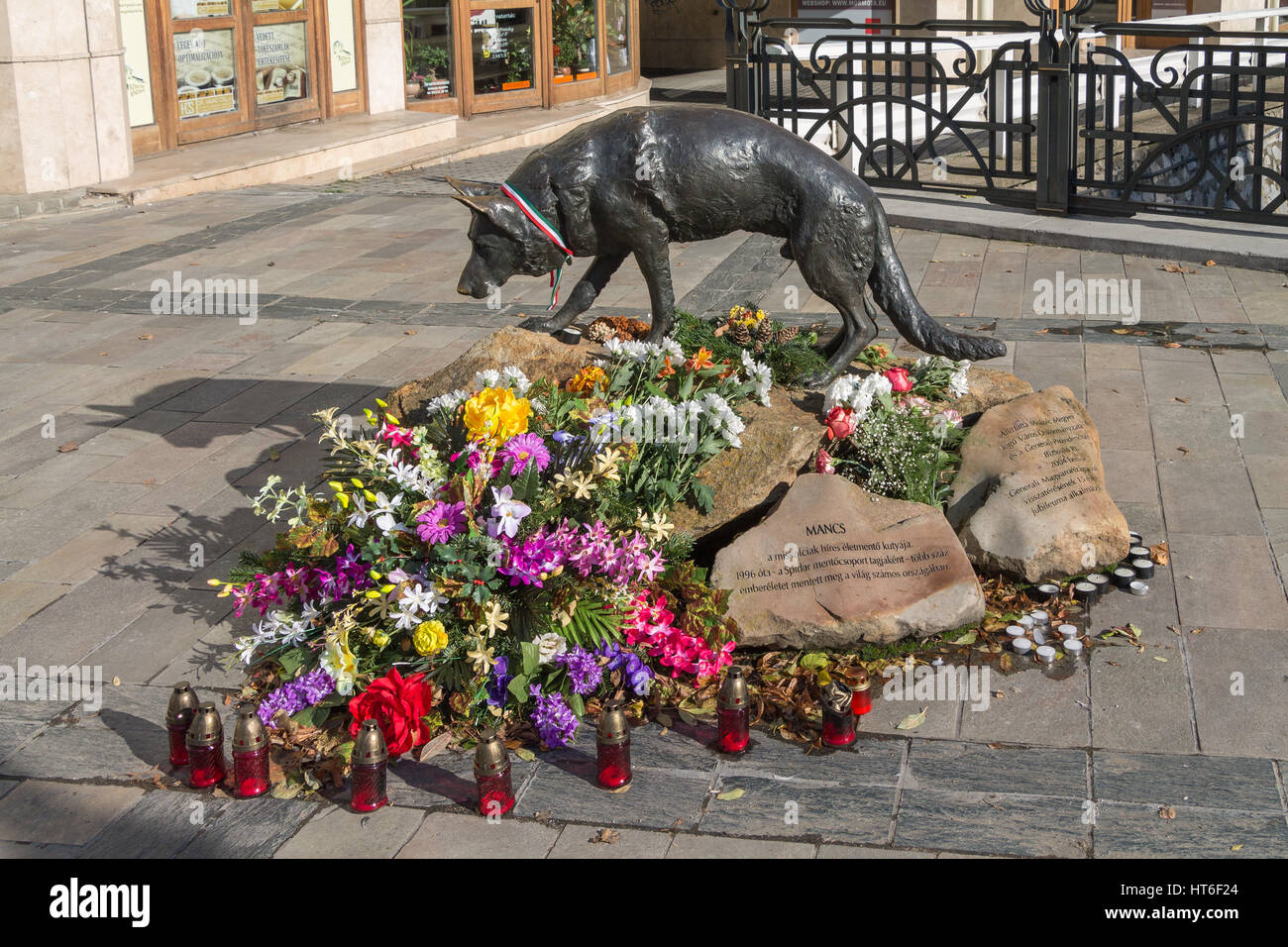 Una statua di Mancs, il famoso ungherese cane di salvataggio Foto Stock