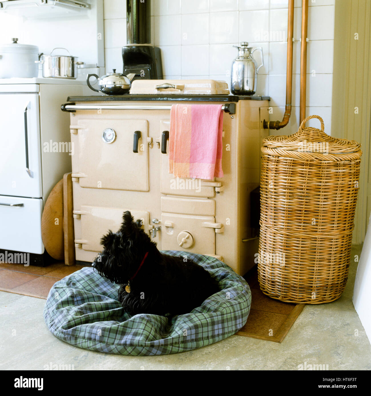 Cane su un letto di cane nella parte anteriore di un forno. Foto Stock
