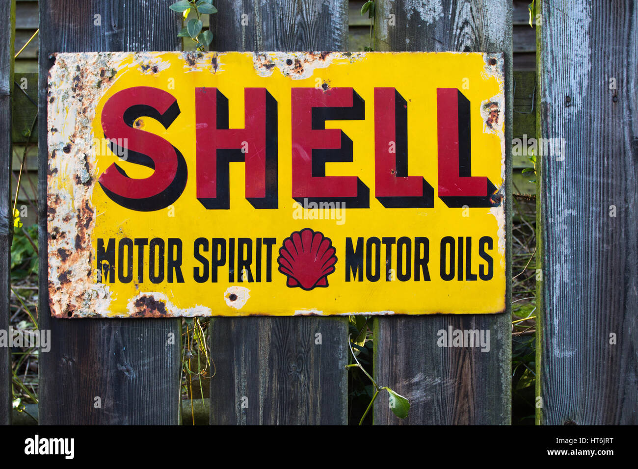 SHELL: un cartello in metallo guscio pubblicità degli oli motore Foto Stock