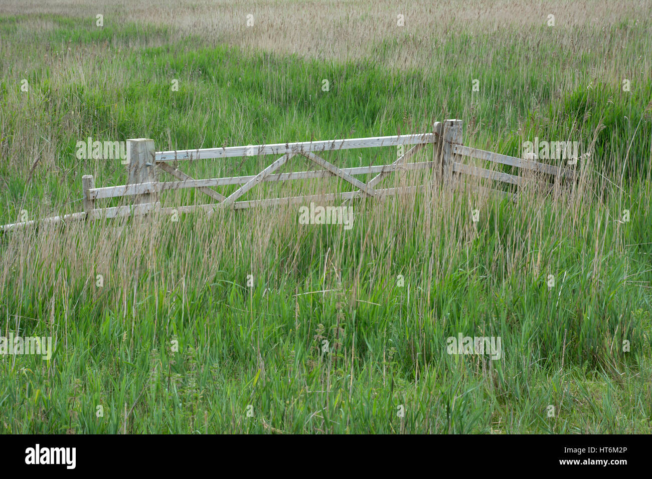 Cancello in legno e una recinzione in un campo di acquitrini. Foto Stock