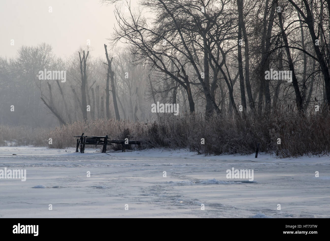 Paesaggio invernale. Lago ghiacciato, dormendo alberi, la neve e il piccolo ponte. Foto Stock