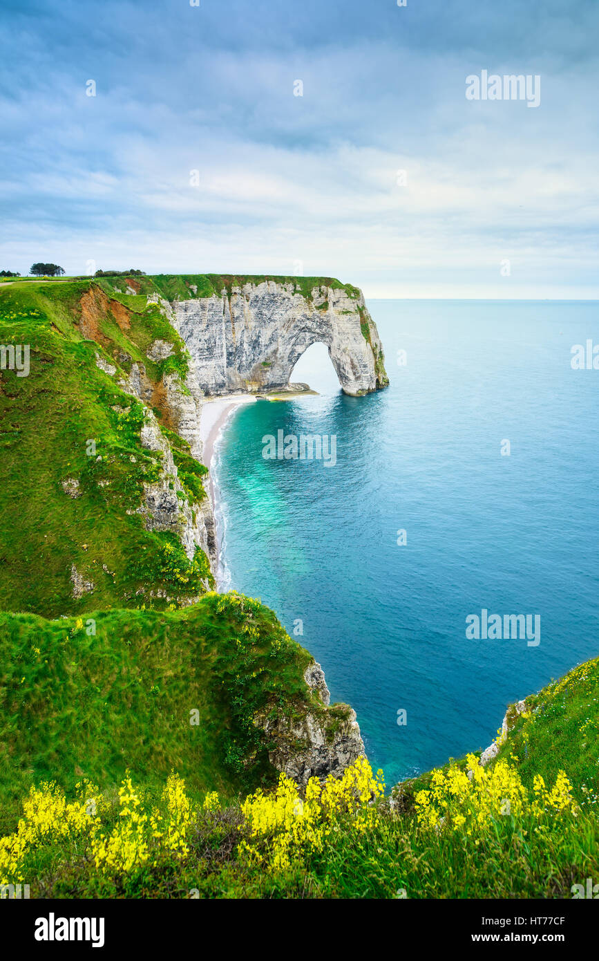 Etretat, la Manneporte roccia naturale arch meraviglia, fiori gialli, Cliff e spiaggia. La Normandia, Francia. Foto Stock