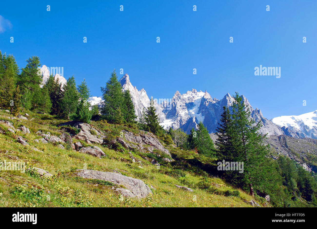 Tedesco paesaggio delle Alpi - un perfetto attive Escursioni destinazione di vacanza con verdi pendii e sentieri contro il bianco della neve picchi e cielo blu Foto Stock