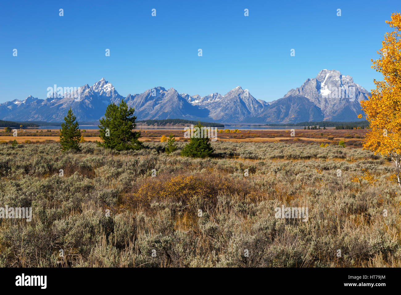 Teton Range da Willow appartamenti si affacciano, Grand Teton National Park, WY, STATI UNITI D'AMERICA Foto Stock