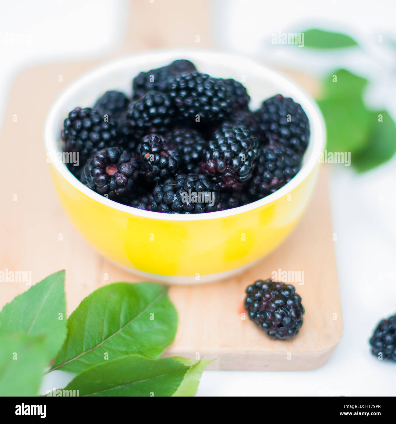 Stile more mature in piccolo giallo ciotola; pronto a mangiare al brunch Foto Stock