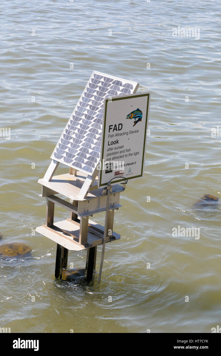 Attrazione del pesce dispositivo (FAD), Hudson River Park, New York, Stati Uniti d'America Foto Stock