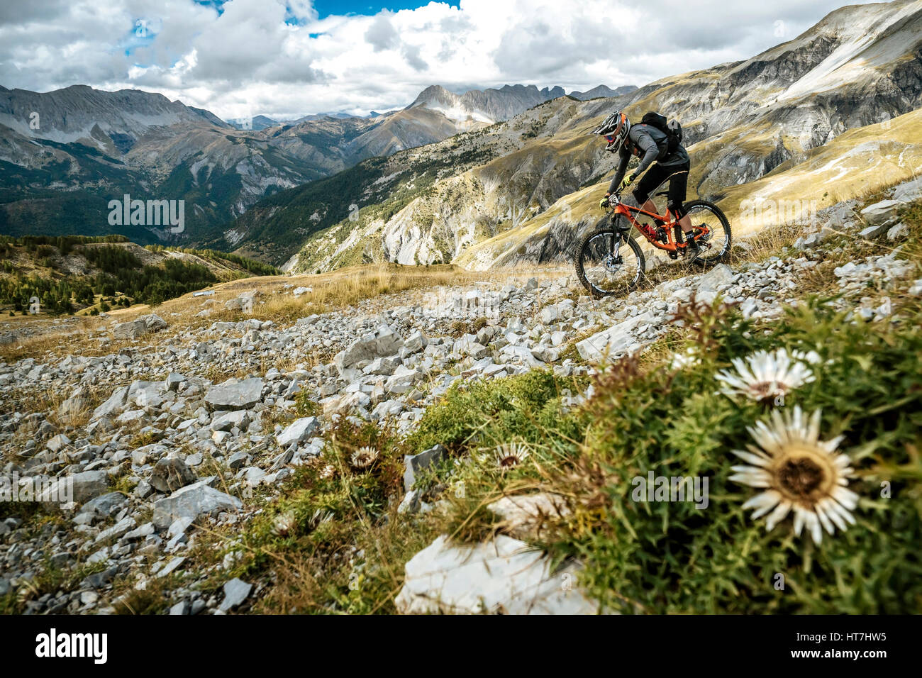 Un Mountain Biker naviga su Aprire il Sentiero alpino nel Parco Nazionale del Mercantour Foto Stock