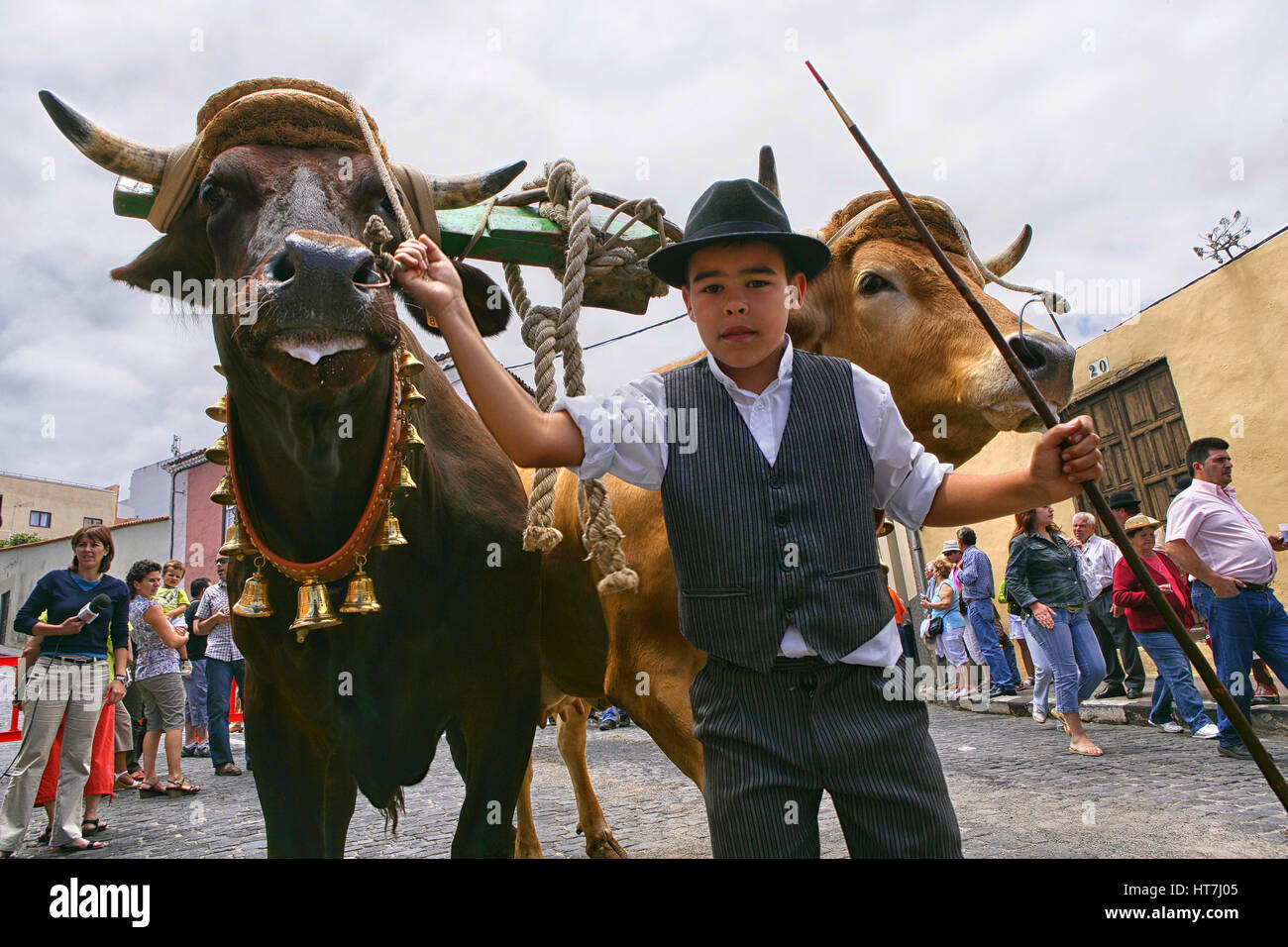 Un Herder in un abito tradizionale con un buoi in Spagna Foto Stock