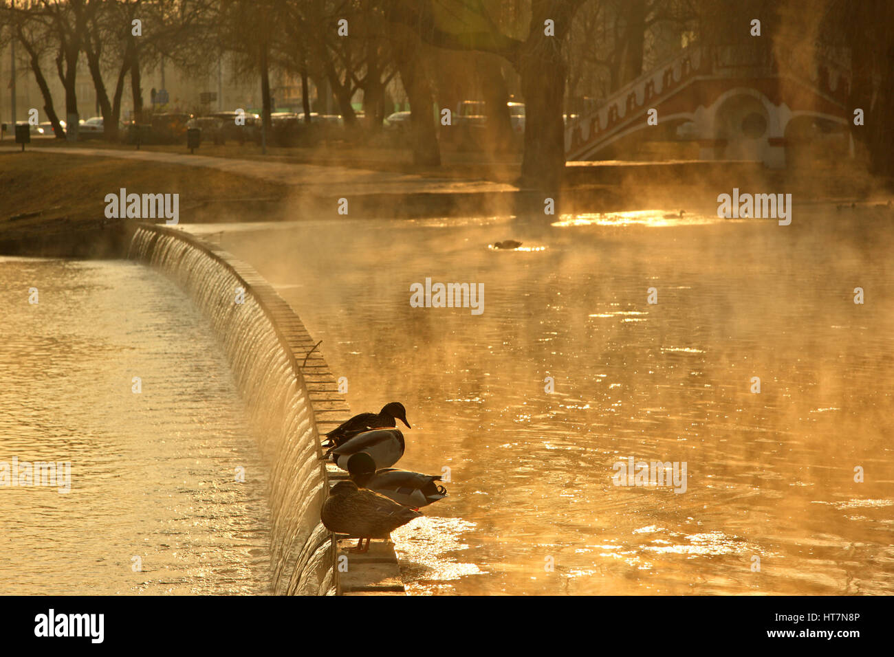 Passeggiate al parco della città ("Városliget') di Budapest intorno al tramonto, Ungheria. Foto Stock