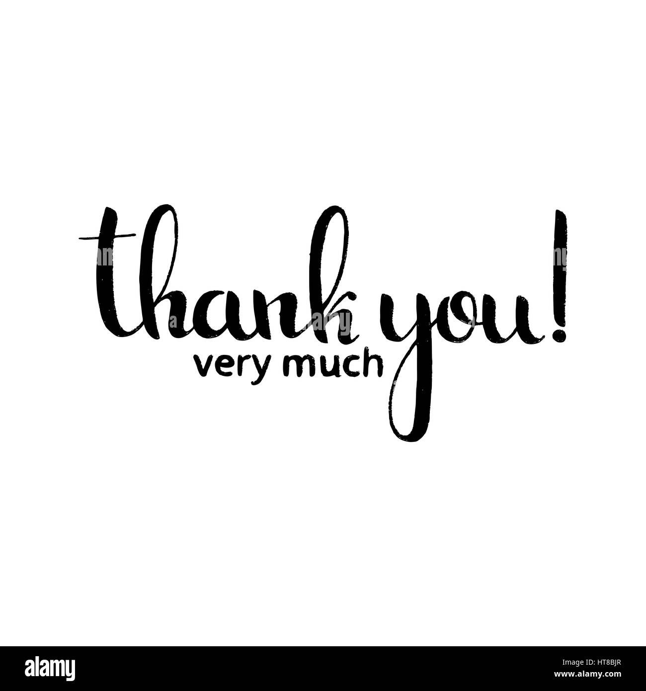 La ringrazio molto caratteri scritti a mano. Vettore moderno disegnato a mano calligraphy isolati su sfondo bianco per il vostro design Illustrazione Vettoriale
