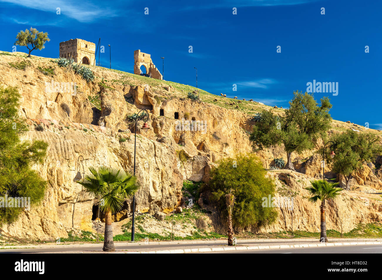 Paesaggio in Fes sotto Marinid tombe, Marocco Foto Stock