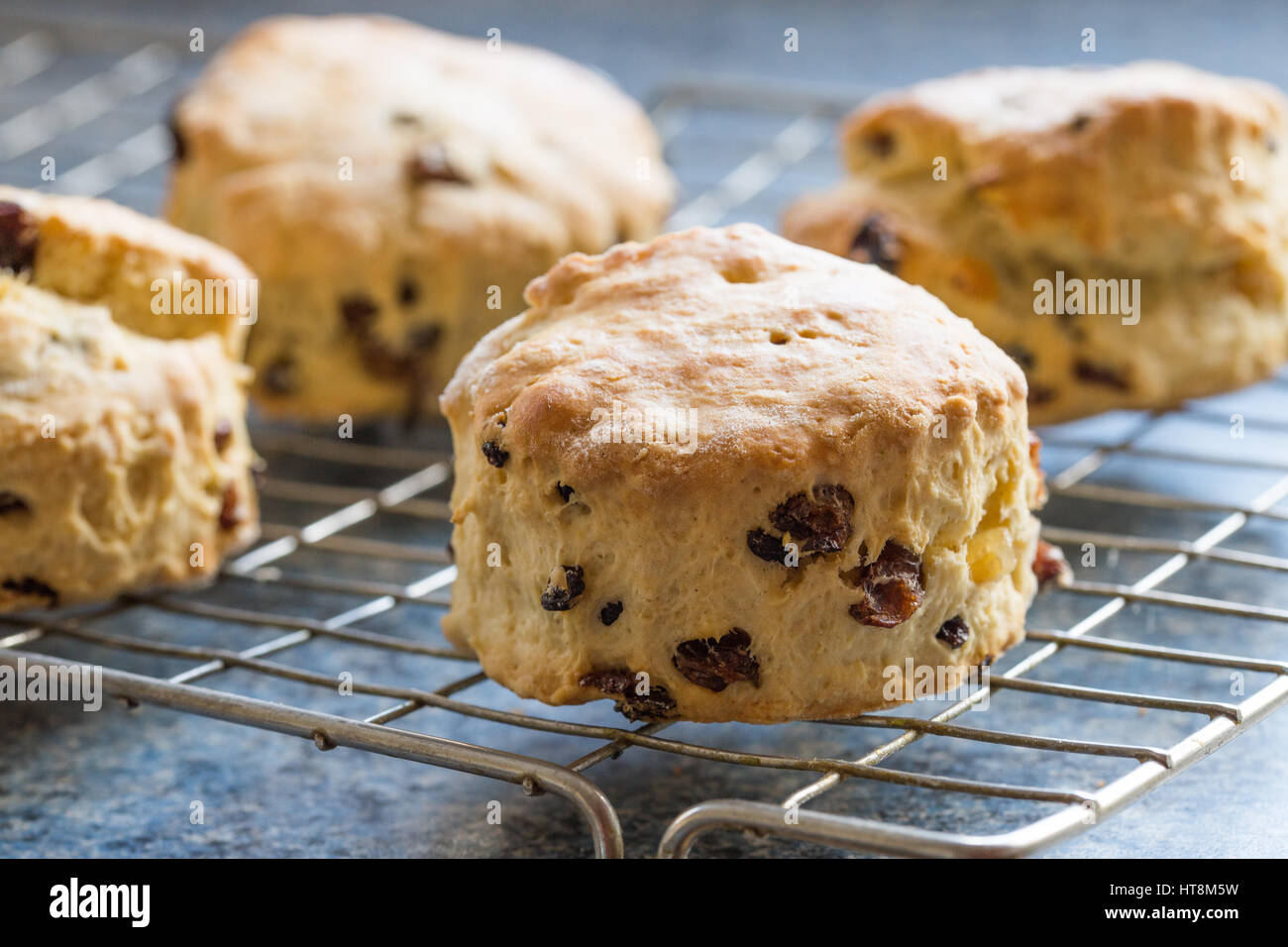 Pane appena sfornato scones sul filo di un raffreddamento per rack. Foto Stock