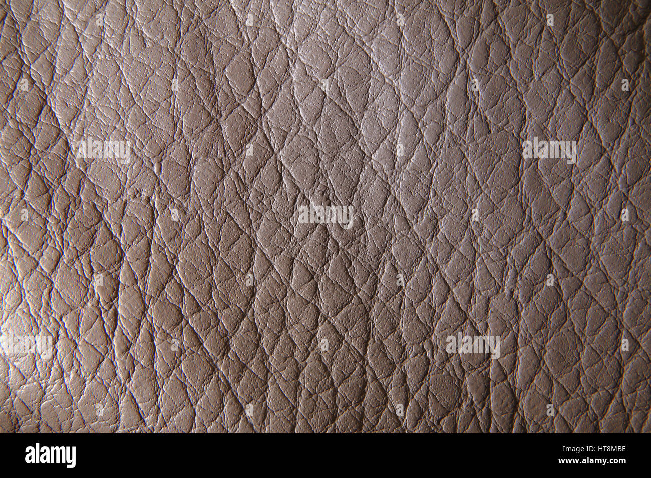 Pelle di coccodrillo closeup. Textured pelle di coccodrillo sfondo. Foto Stock