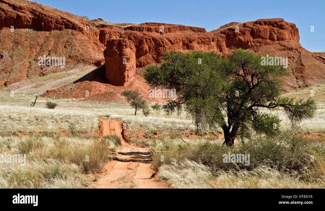 Via attraverso il fiume secco al rosso fossilizzato dune nel deserto del Namib Foto Stock