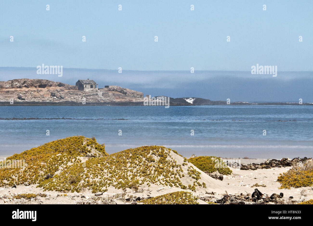Casa su Halifax Island, Diaz punto, Namibia Foto Stock