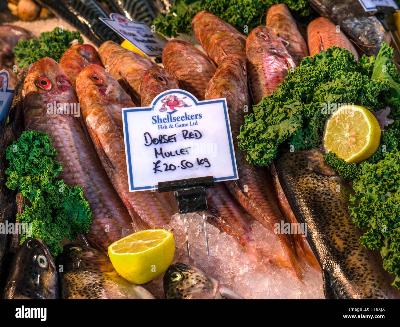 Fresh British Dorset Triglia di scoglio sul display per la vendita sul mercato pescivendoli stallo, a Borough Market London REGNO UNITO Foto Stock