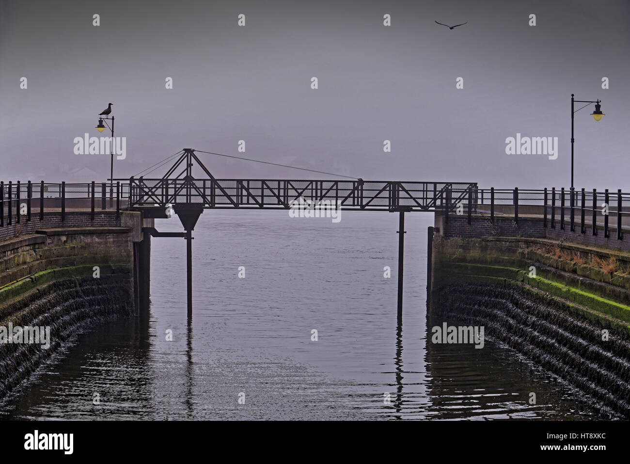Bacino di carenaggio ponte con luci di ingiallimento e seagull north shields Foto Stock