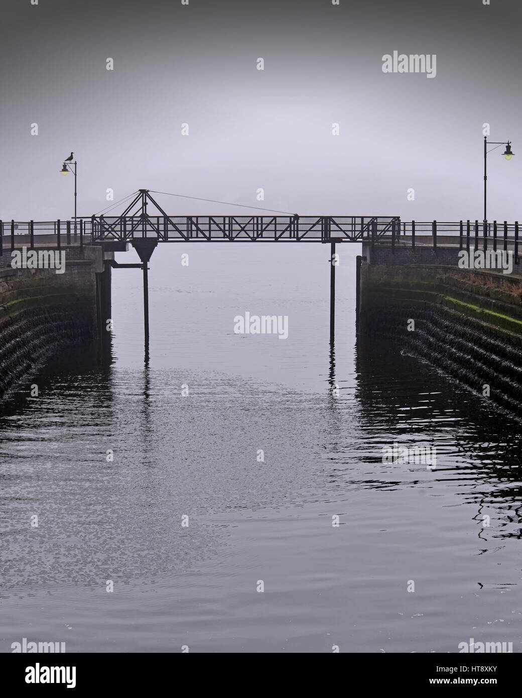 Bacino di carenaggio ponte con luci di ingiallimento e seagull north shields Foto Stock