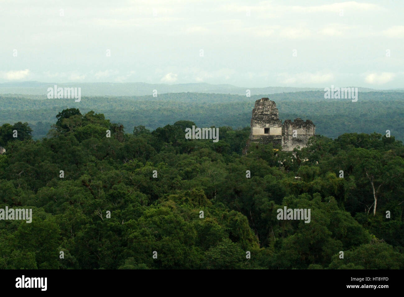 Piramidi di Tikal / Tikal, Guatemala Foto Stock