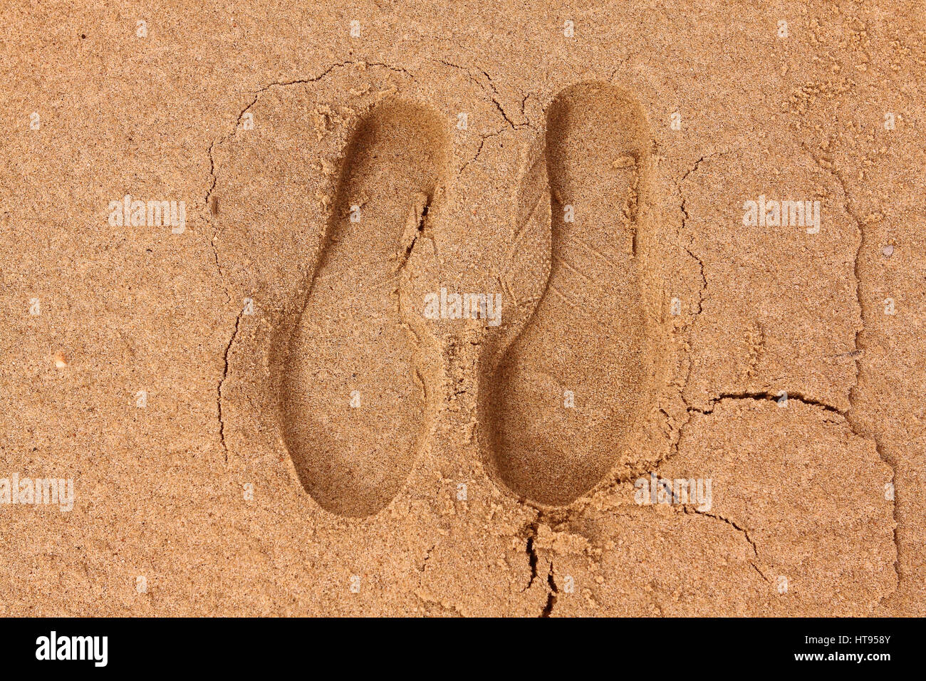 Footprint, suola di una scarpa sulla sabbia Foto Stock