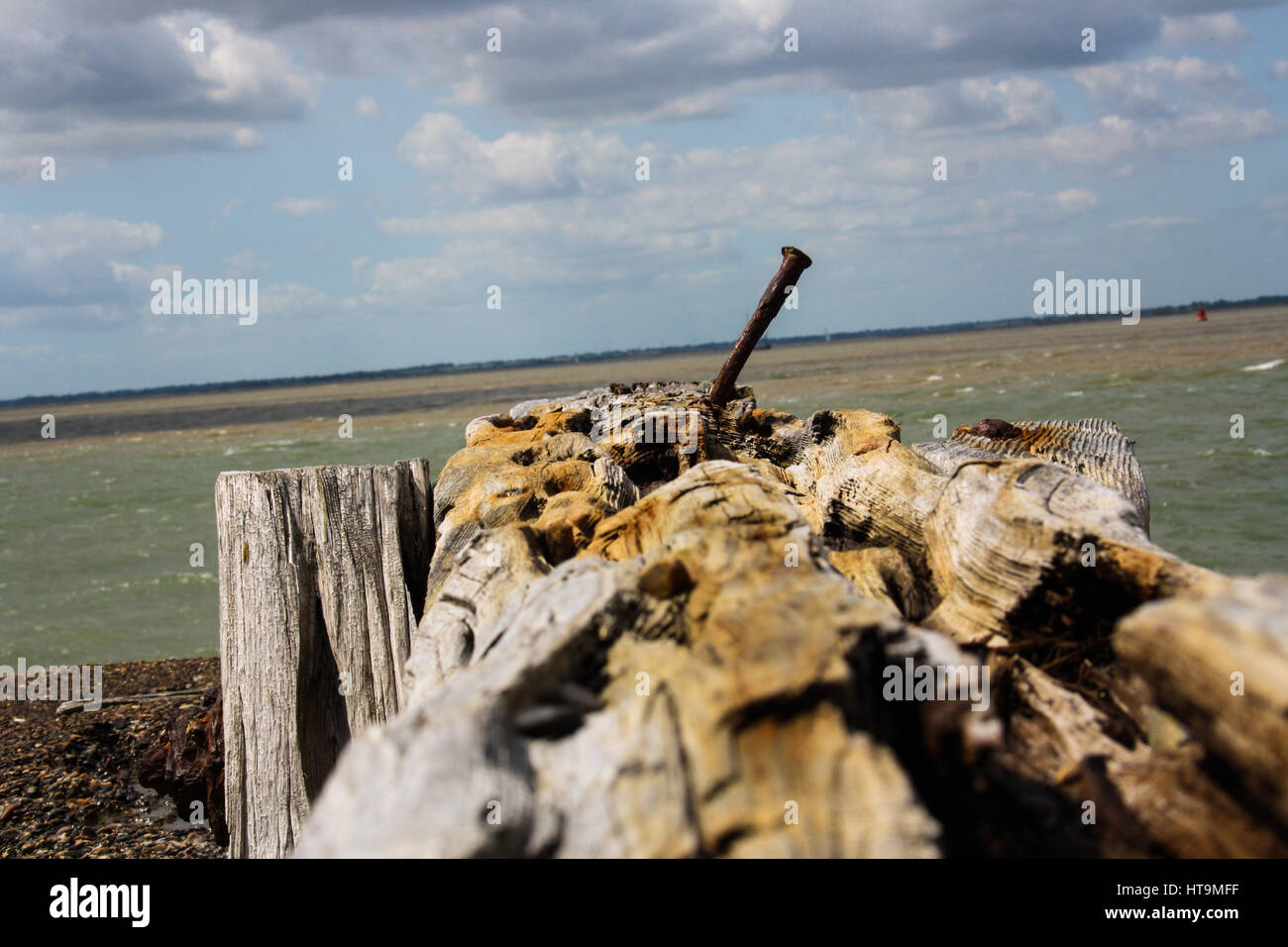 Landgaurd fort immagini, Felixstowe Foto Stock