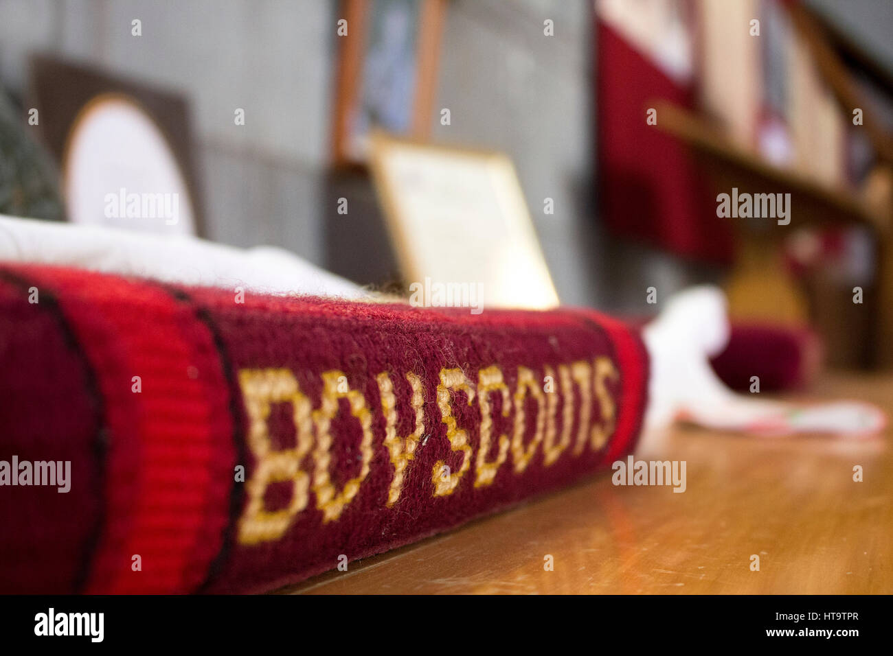 Prenota colonna vertebrale fino in prossimità di un boy scout manuale di colore rosso su una tabella. Messa a fuoco selettiva. Foto Stock