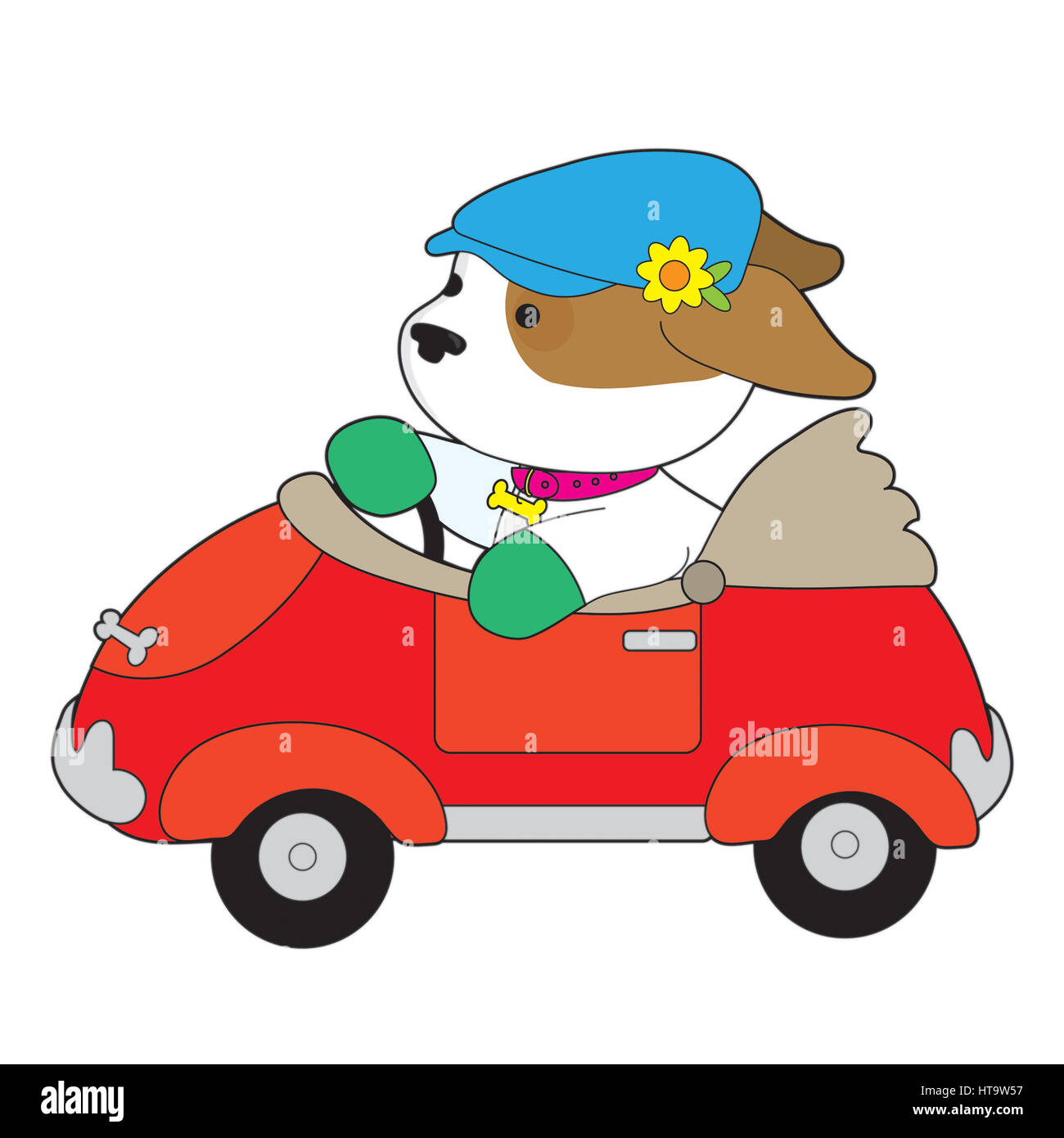 Un grazioso cucciolo indossando un cappello di guida che ha un fiore su di esso è alla guida di un rosso convertibili Foto Stock