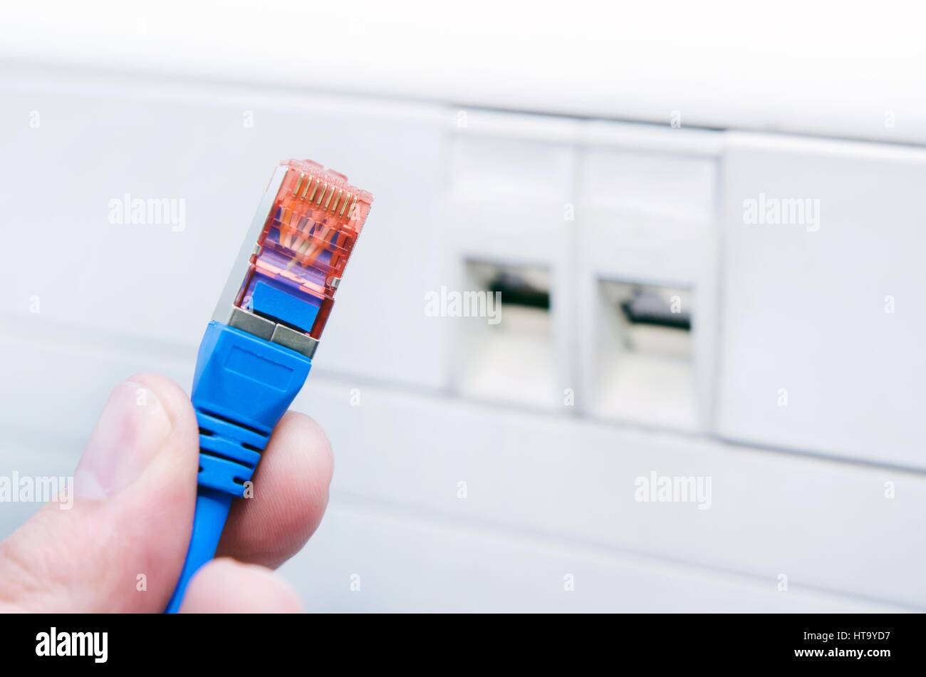 Mano che tiene il cavo ethernet. Installazione di una presa RJ45 in background Foto Stock