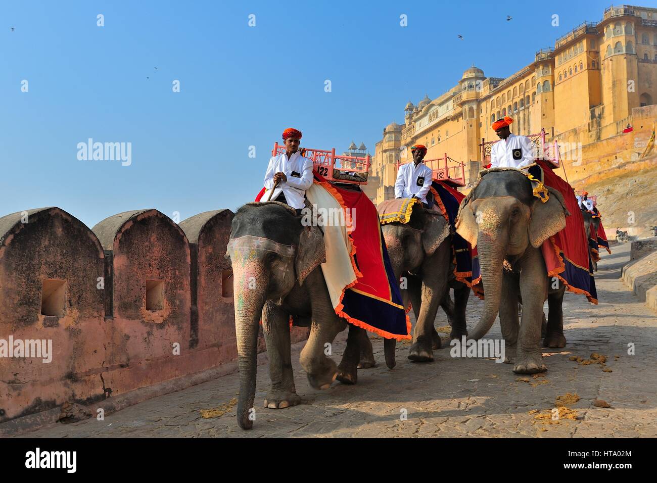 India Jaipur Forte Amber, Rajasthan Foto Stock