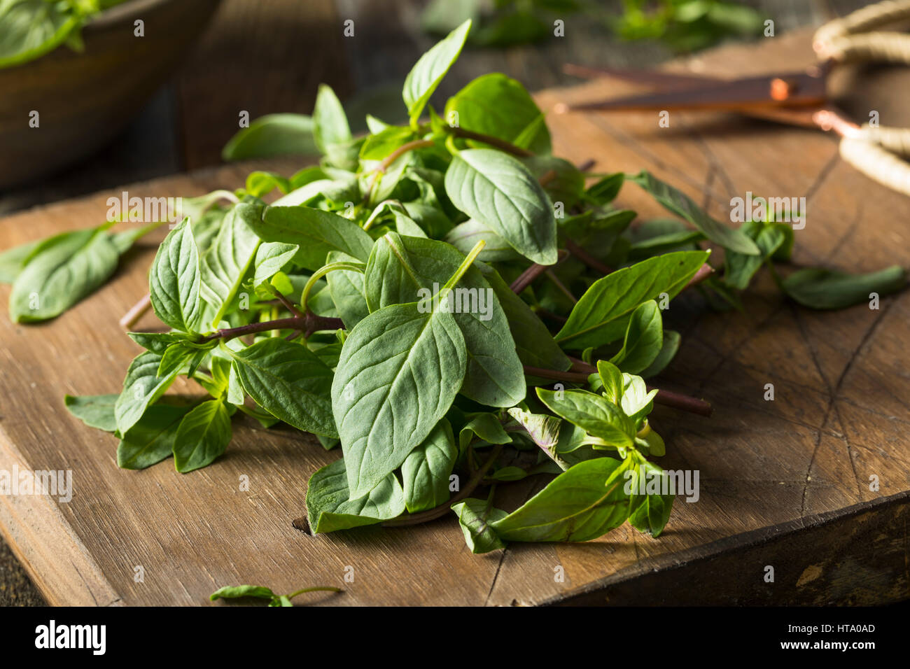 Materie organiche verde basilico tailandese pronto per tritare Foto stock -  Alamy