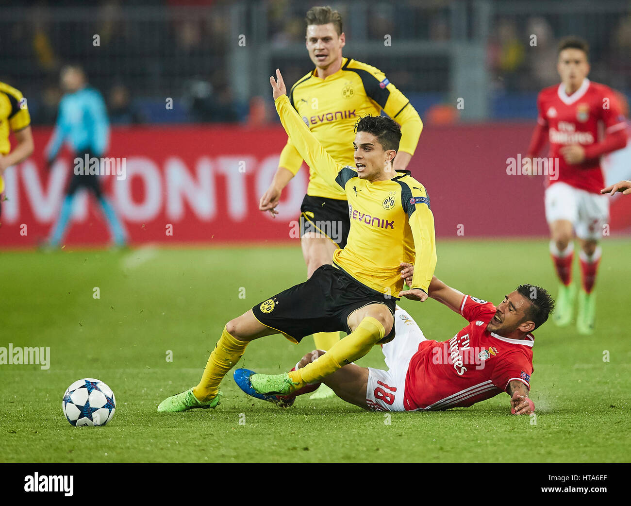 Dortmund, Germania. 08 Mar, 2017. Il calcio UEFA Champions League, Dortmund, Marzo 08, 2017 Marc Bartra AREGALL, BVB 5 Lukasz PISZCZEK, BVB 26 competere per la sfera contro Eduardo SALVIO, Liss 18 BORUSSIA DORTMUND - BENFICA LISBONA 4-0 meglio di 16, calcio UEFA Champions League, Dortmund, Marzo 08, 2017. CL Saison 2016/2017, BVB Credito: Peter Schatz/Alamy Live News Foto Stock