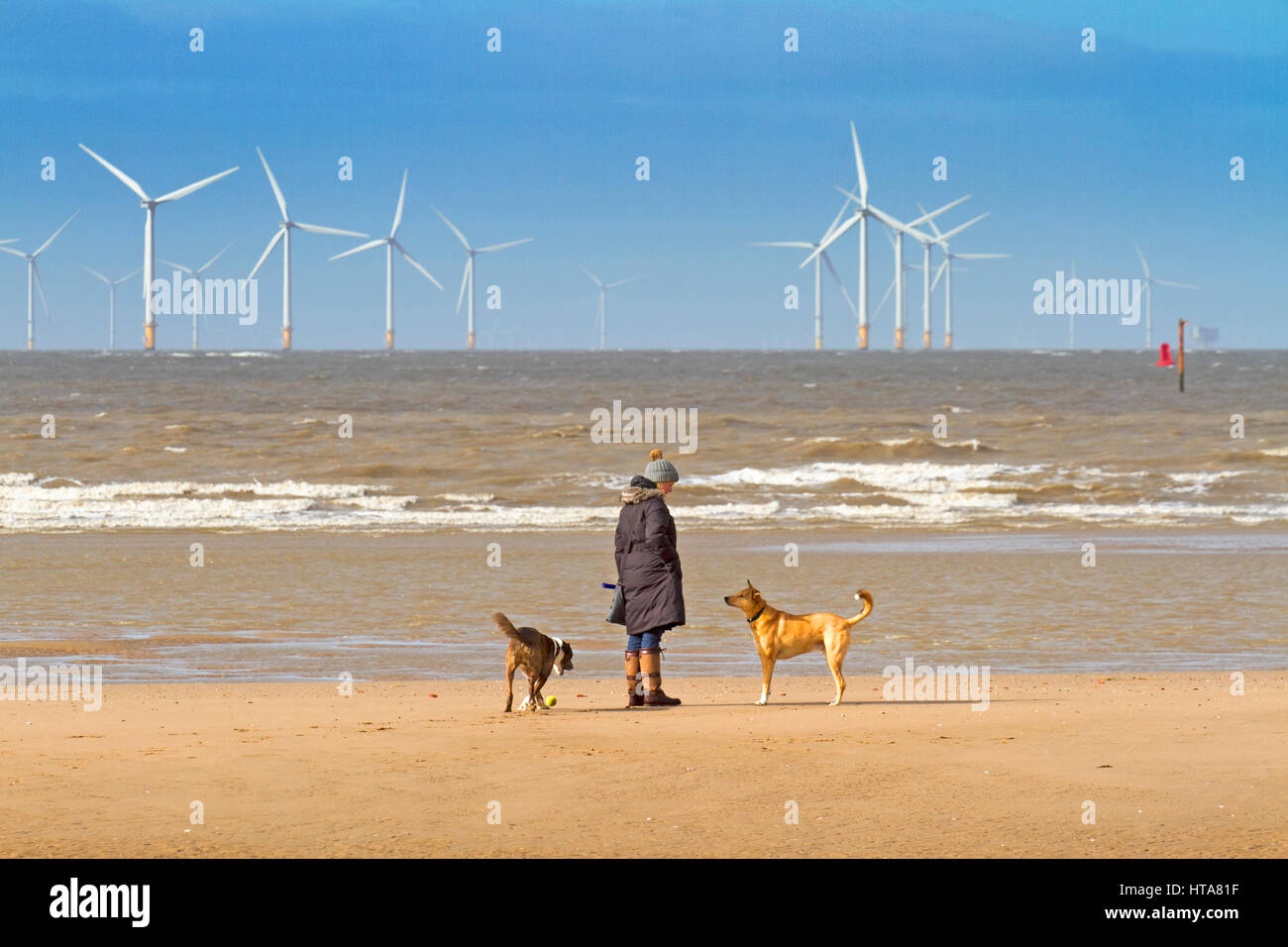 Burbo Bank Offshore Wind Farm visto da Ainsdale, Merseyside. Il 9 marzo 2017. Regno Unito Meteo. La mattina presto dog walkers passeggiata nel glorioso sole primaverile sulla spiaggia Ainsdale nel Merseyside. Credito: Cernan Elias/Alamy Live News Foto Stock