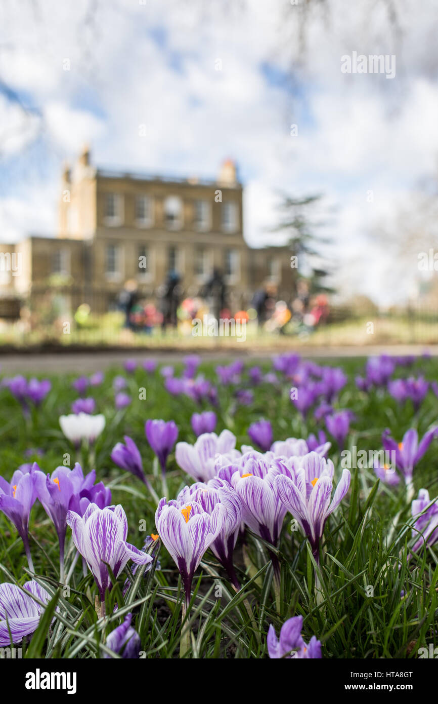 Londra, Regno Unito. 9 Mar, 2017.UK meteo. Bella e soleggiata, giornata di primavera Clissold Park, Stoke Newington, Hackney, Londra. Credito: Carol moiré/Alamy Live News Foto Stock