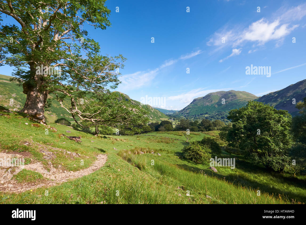 Il sentiero che corre attraverso Deepdale nel Lake District inglese. Foto Stock