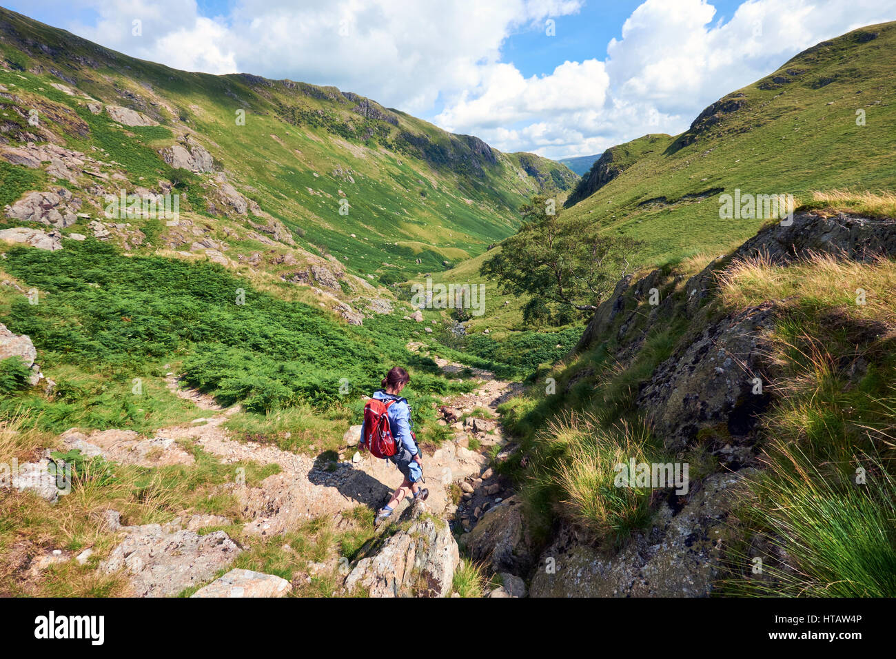 Un escursionista a piedi nel Lake District inglese, UK. Foto Stock