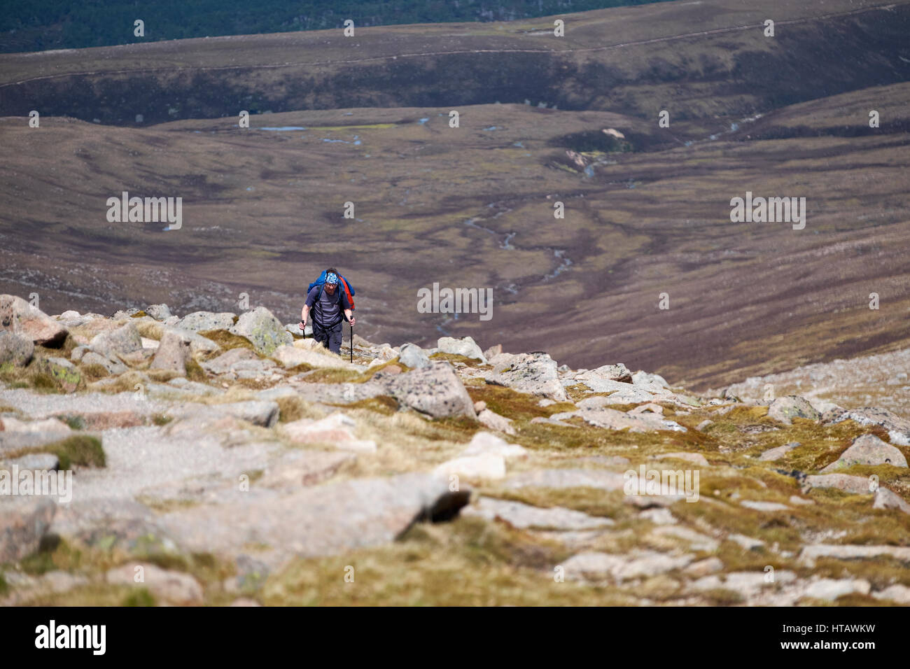 Un uomo che passeggia verso il vertice del Ben Macdui nei Cairngorms, Highlands Scozzesi. Regno Unito. Foto Stock