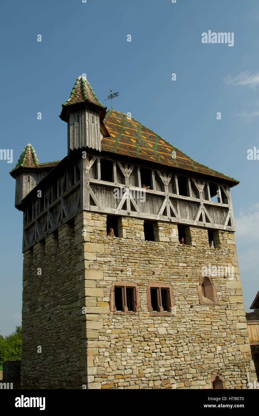 L'Écomusée d'Alsazia è il vivente più grande museo a cielo aperto in Francia e mostra un villaggio alsaziano risalente agli inizi del XX secolo. Essa illustra che cosa r Foto Stock