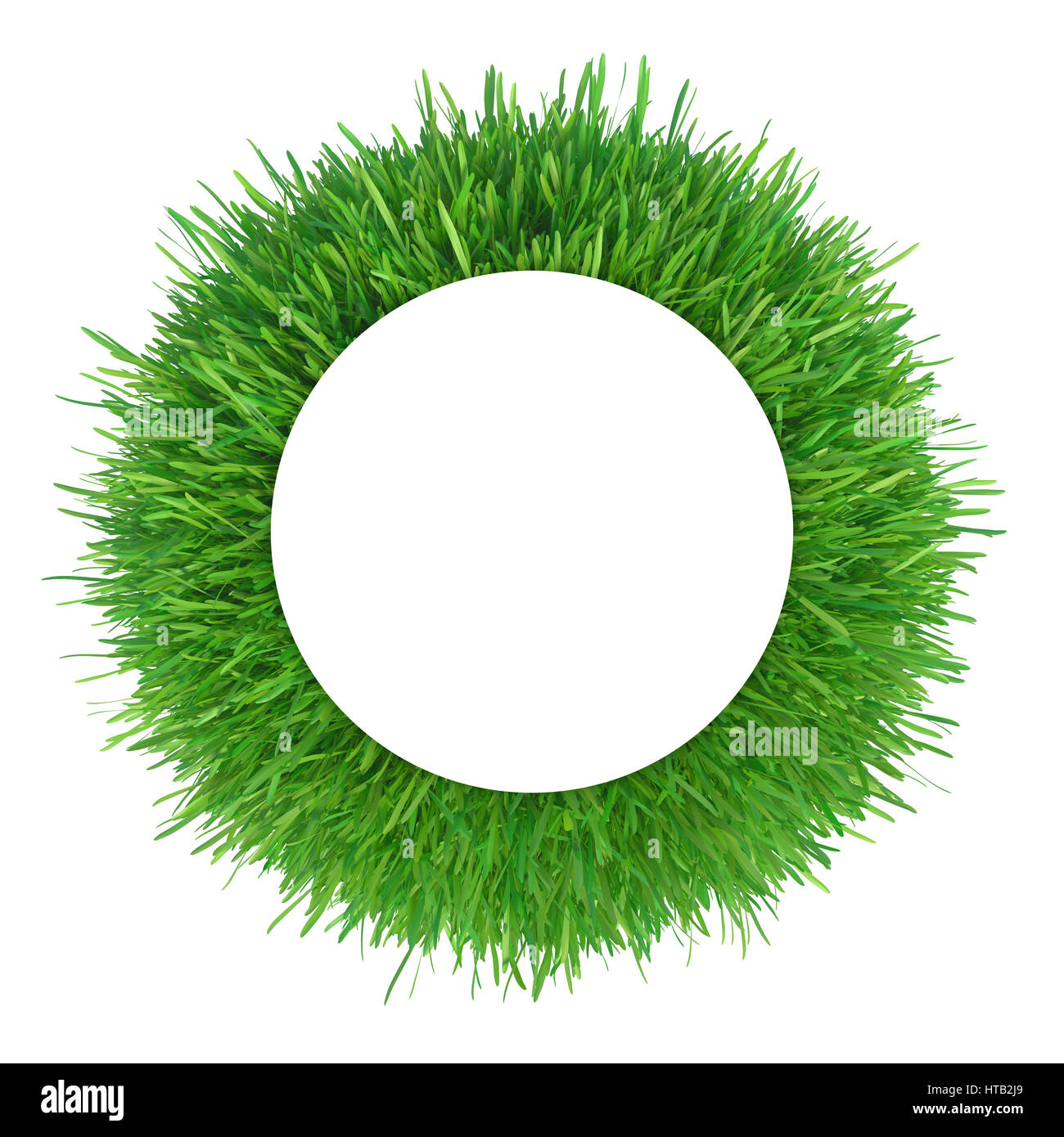 Erba verde cornice con copy-spazio. Cerchio modello di frontiera isolati su sfondo bianco. Impianto astratto texture. Design organico il rendering 3D Foto Stock