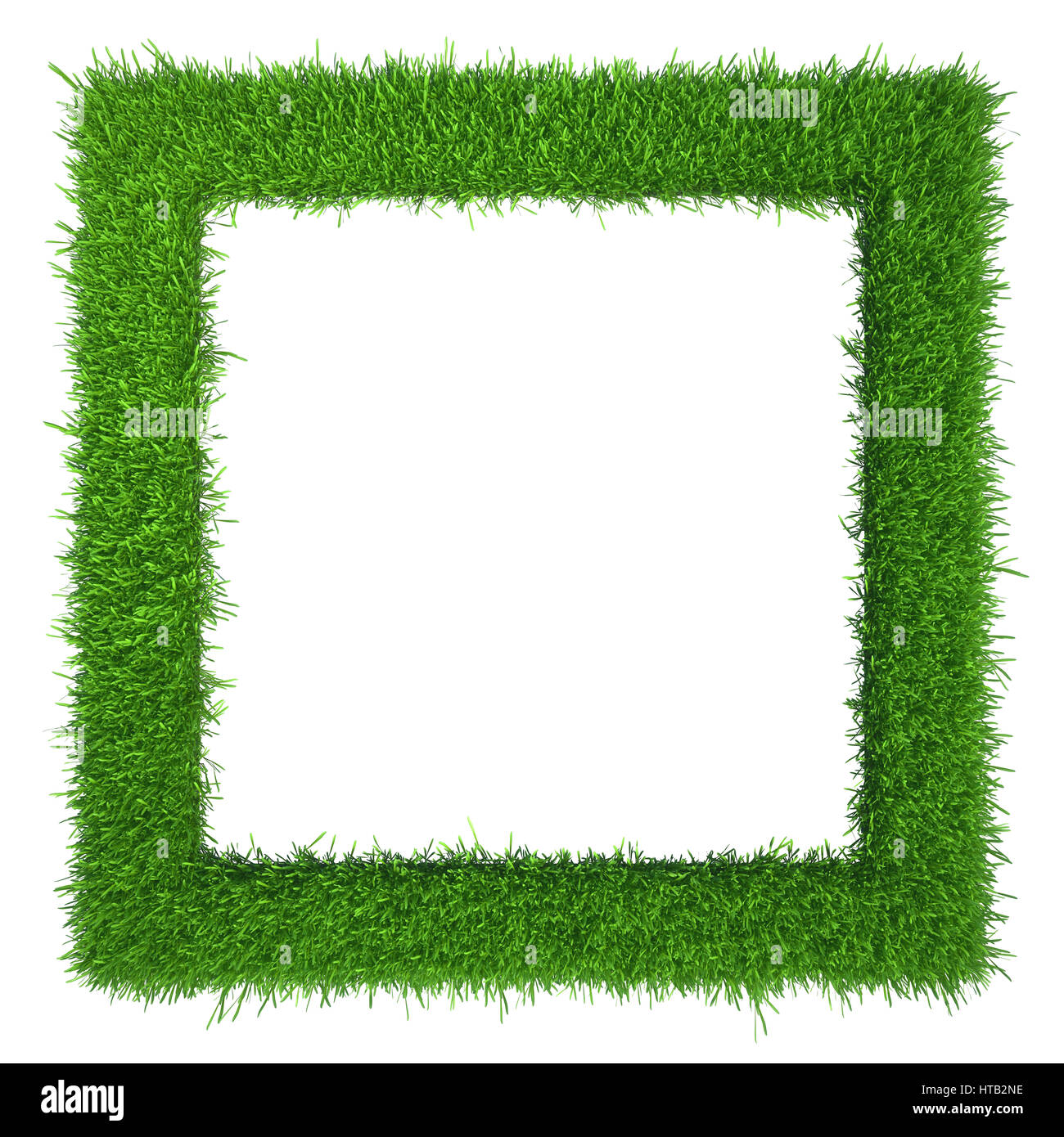 Erba verde cornice con copy-spazio. Cornice quadrata modello isolato su sfondo bianco. Impianto astratto texture. Design organico il rendering 3D Foto Stock